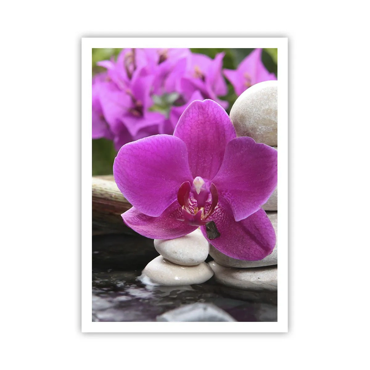 Pôster - Descanso imediato - 70x100 cm