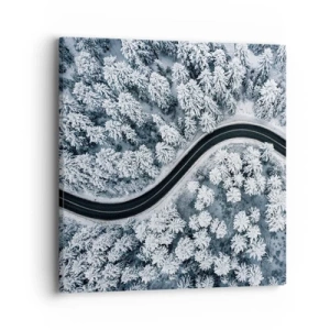 Quadro em tela - Pelaa floresta no inverno - 40x40 cm