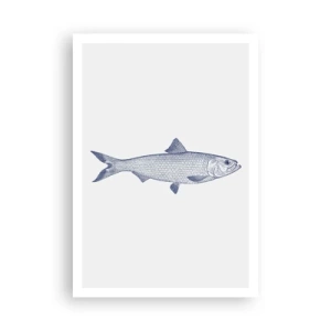 Pôster - Saudações dos mares do norte - 70x100 cm