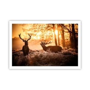 Pôster - O sonho do caçador - 91x61 cm