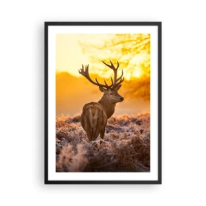Pôster com moldura preta - Um cervo tendo como pano de fundo um nascer do sol dourado - 50x70cm - Rei da floresta de outono - Decoração de parede moderna para a sala de estar e quarto ARTTOR