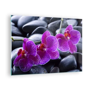 Quadro em vidro - Orquídeas roxas contra um fundo de pedras lisas - 70x50cm - As pedras de iluminaram de deleite - Decoração de parede moderna para a sala de estar e quarto ARTTOR