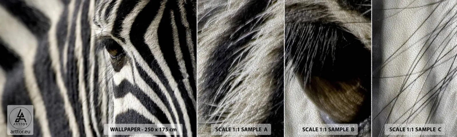 Amostra de papel de parede Premium Sand - Retrato em listras - Animais, Costelas, África - 100x30 cm