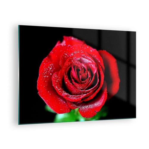Quadro em vidro - Uma rosa vermelha coberta com gotas de orvalho em um fundo escuro - 70x50cm - Isso é amor - Decoração de parede moderna para a sala de estar e quarto ARTTOR