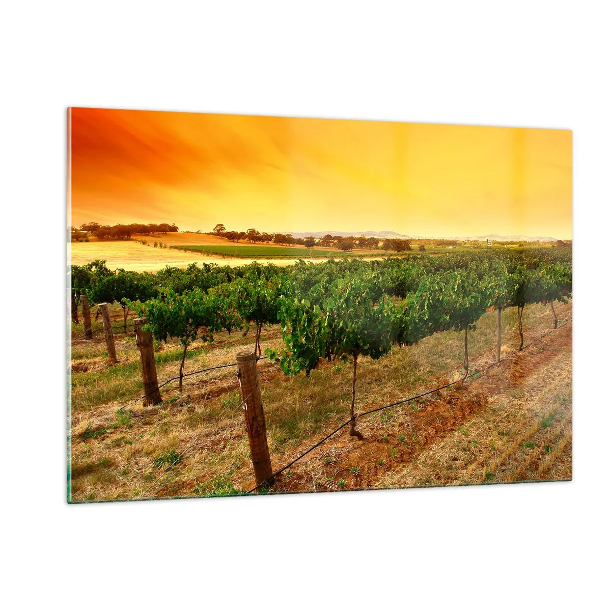 Quadro em vidro - Sede de sol - 120x80 cm