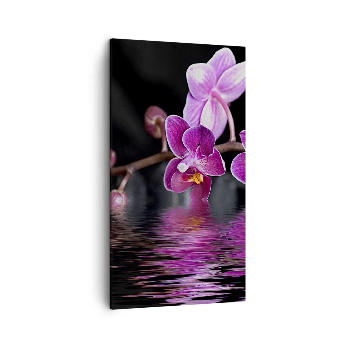 Quadro em tela - Reflexo lilás da beleza - 45x80 cm