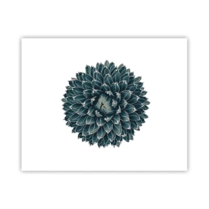 Pôster - Estrela do Deserto - 50x40 cm