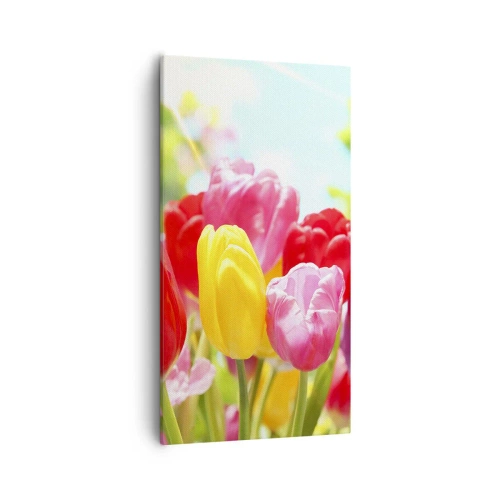 Quadro em tela - Somos nós, as cores de maio! - 55x100 cm