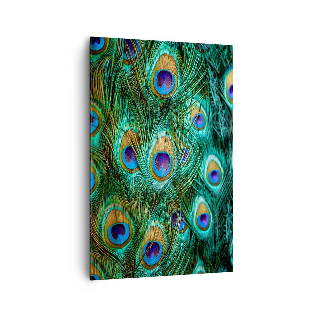 Quadro em tela - Um olhar de pavão - 80x120 cm