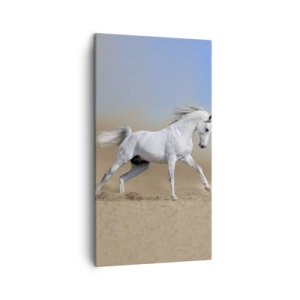 Quadro em tela - O mais belo conto de fadas árabe - 45x80 cm