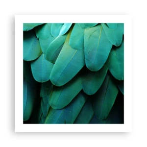 Pôster - Precisão de papagaio - 50x50 cm