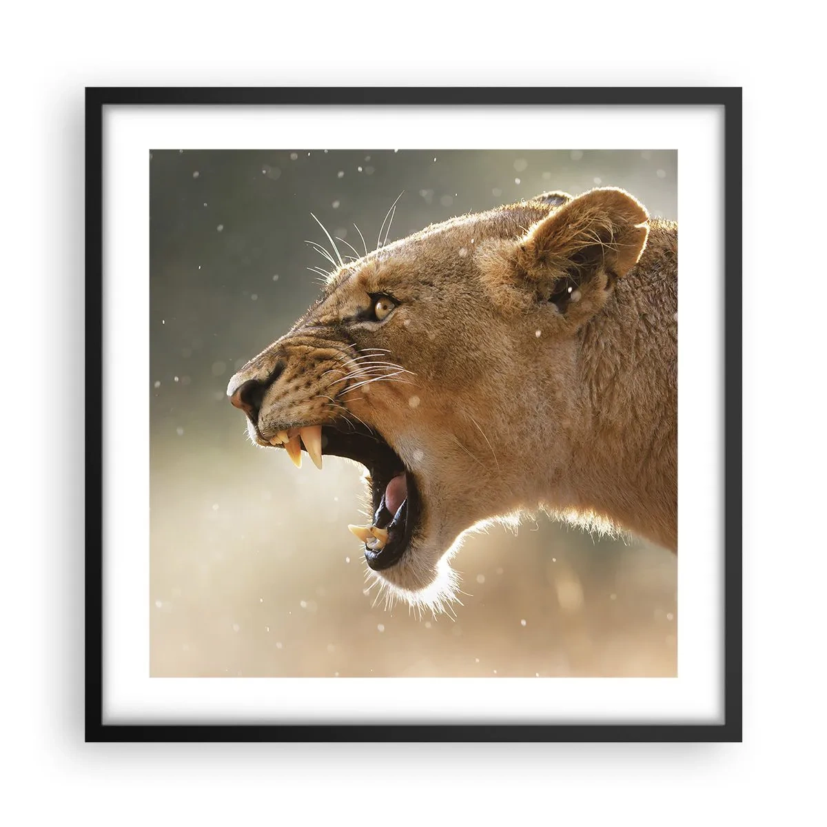 Pôster com moldura preta - Tente não ouvir - 50x50 cm