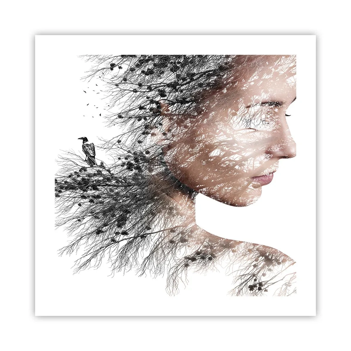 Pôster - Espírito da floresta - 50x50 cm