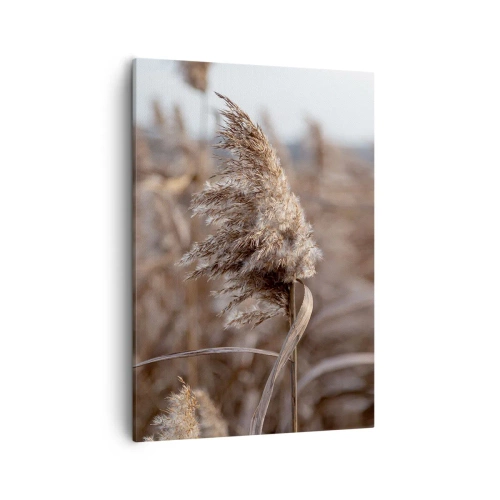 Quadro em tela - É hora de voar com o vento - 50x70 cm