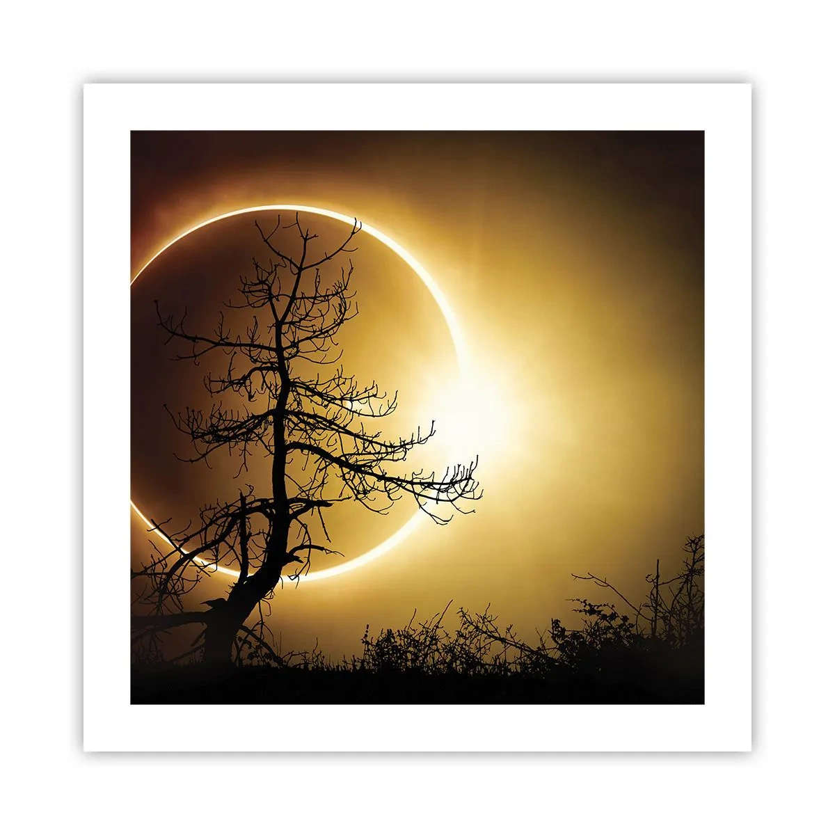 Pôster - Eclipse total - 50x50 cm