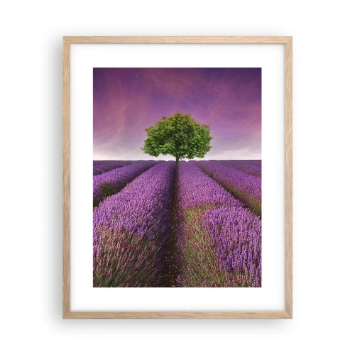 Pôster com moldura de carvalho claro - Nos campos de lavanda - 40x50 cm
