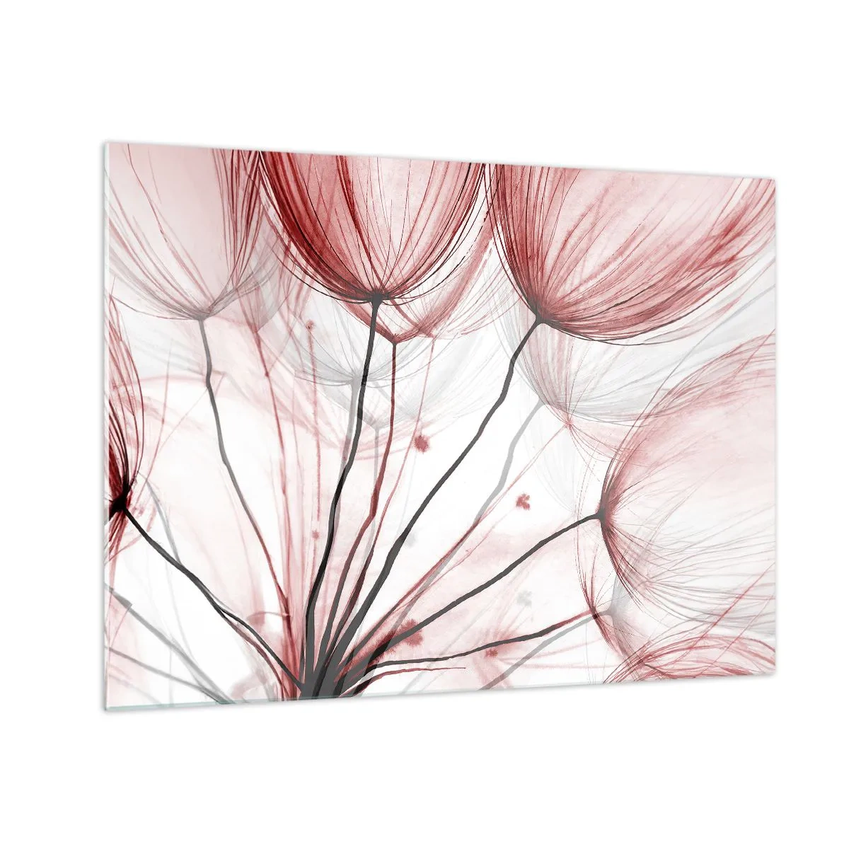 Quadro em vidro - Dentes-de-leão sutis em tons de rosa e preto - 70x50cm - Antes da partida - Decoração de parede moderna para a sala de estar e quarto ARTTOR