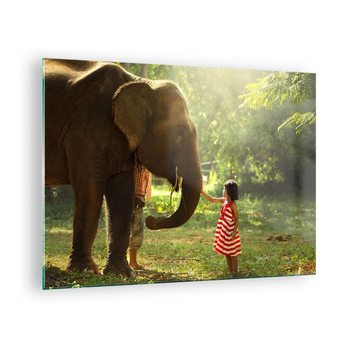Quadro em vidro - Uma garota de vestido vermelho tocando um elefante na floresta. - 70x50cm - O poder da amizade - Decoração de parede moderna para a sala de estar e quarto ARTTOR