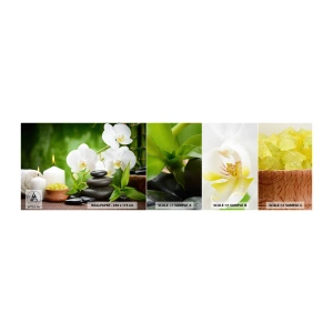 Amostra de papel de parede autocolante Deluxe Sticker - Um toque perfumado, floral e suave - Flores, Orquídea, Orquídea - 100x30 cm