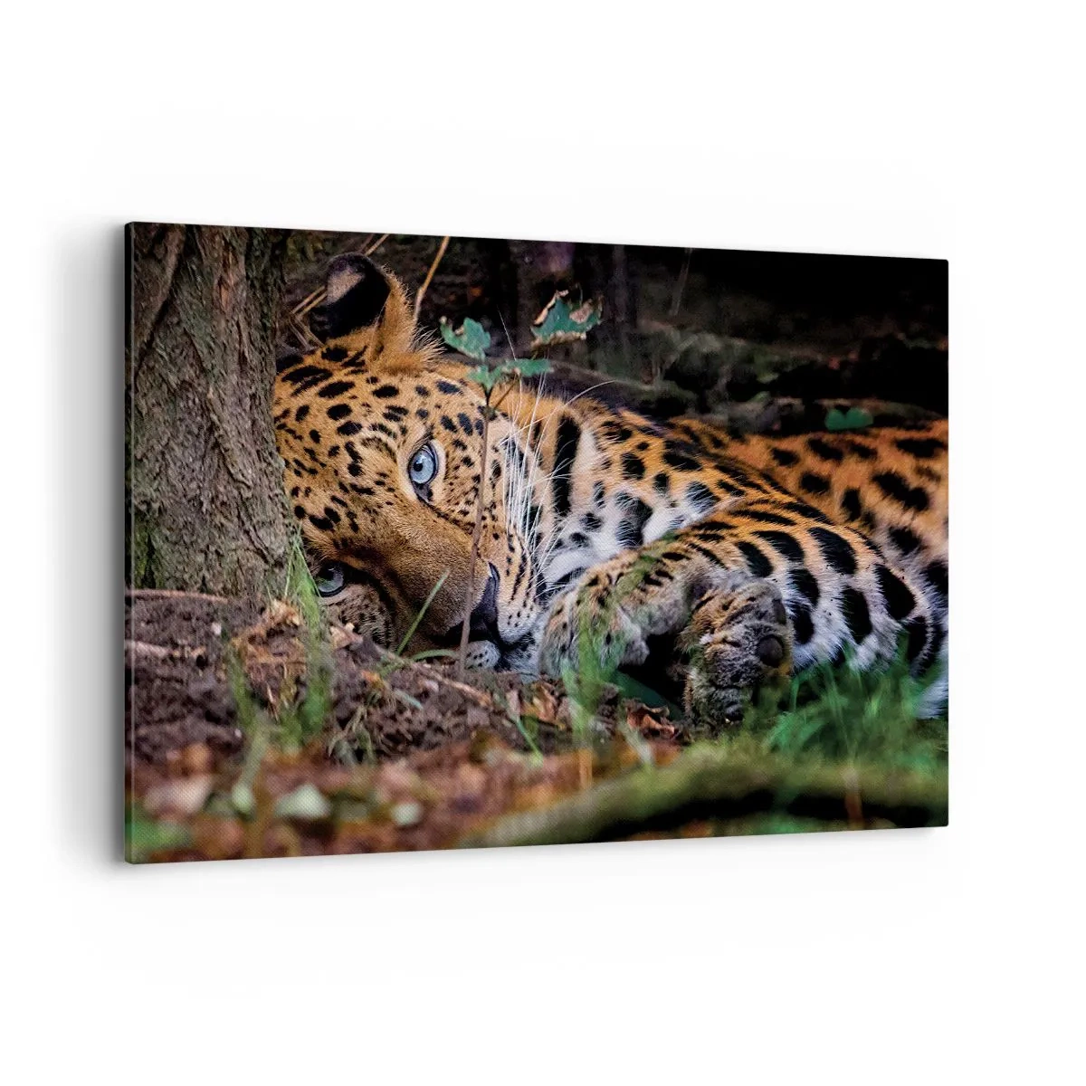 Quadro em tela - Confie em mim - 120x80 cm