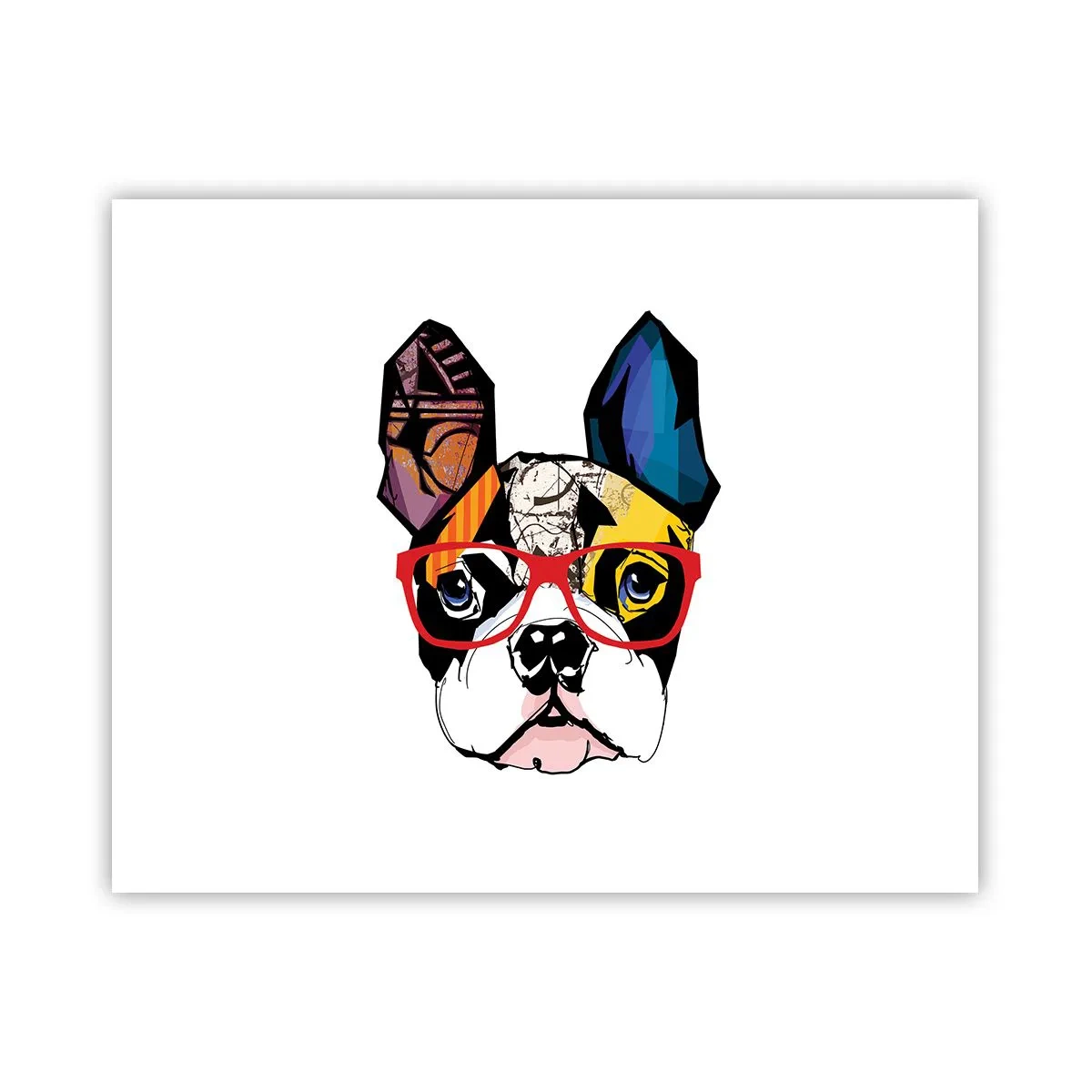 Pôster - Intelectual - 50x40 cm