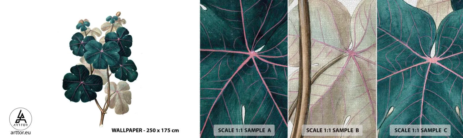 Amostra de papel de parede Premium Canvas - Do antigo herbário - Plantar, Folhas, Botânica - 100x30 cm