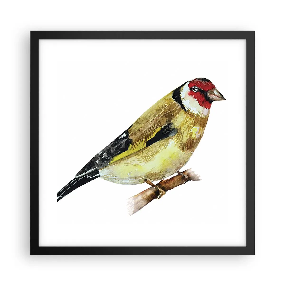 Pôster com moldura preta - Retrato de um pássaro - 40x40 cm