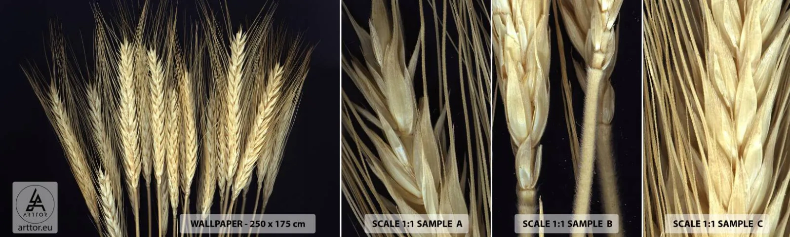 Amostra de Papel de Parede Standard Eco - Magia rústica - Cereal, Plantas, Natureza - 100x30 cm