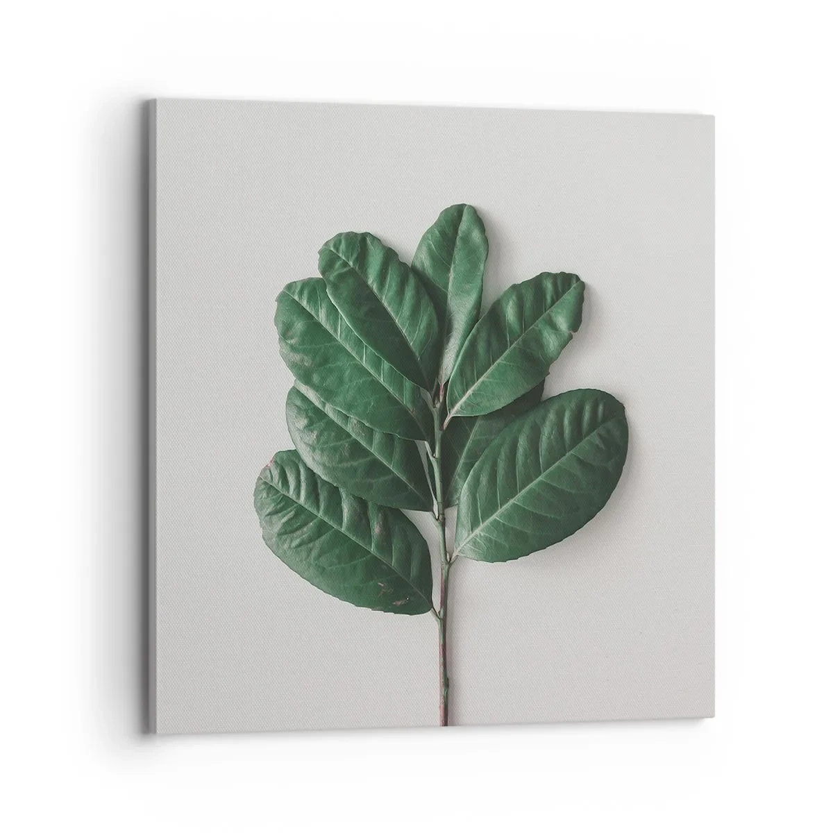 Quadro em tela - Desenho da própria natureza - 70x70 cm