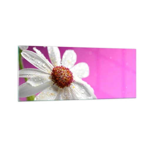 Quadro em vidro - Modesto em sua beleza - 100x40 cm