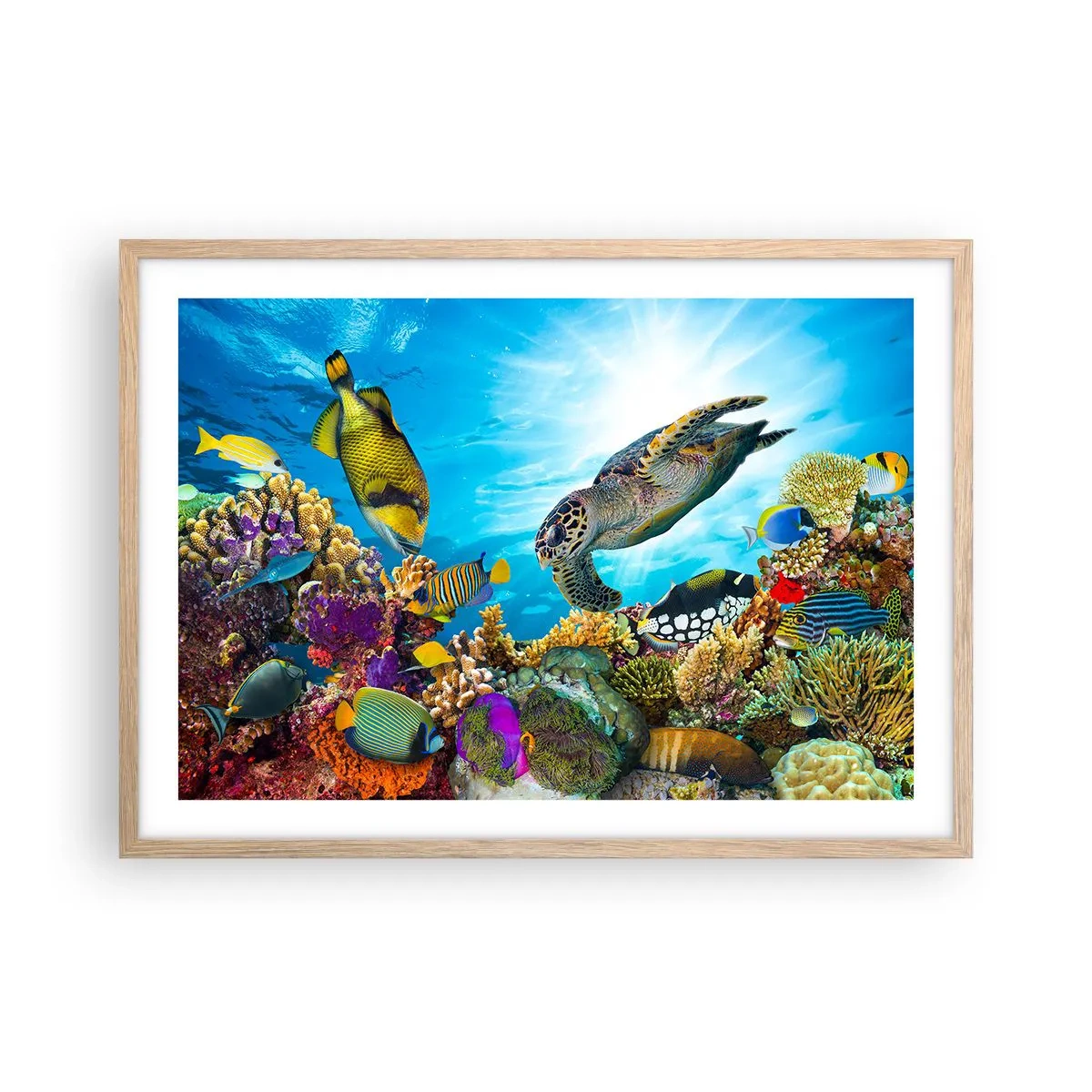 Pôster com moldura de carvalho claro - Alameda dos corais - 70x50 cm