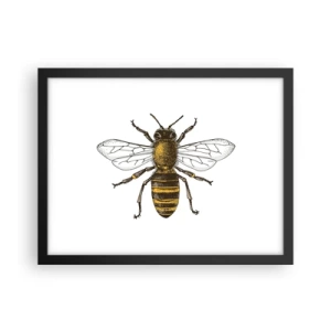 Pôster com moldura preta - Linda e boa - 40x30 cm