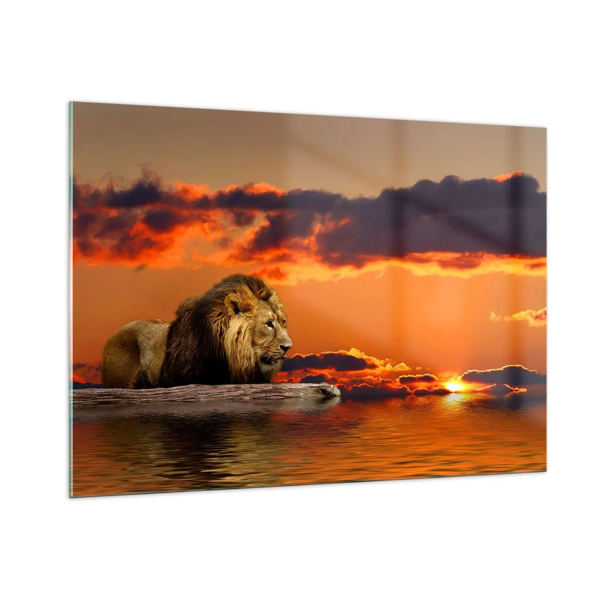 Quadro em vidro - Rei da natureza - 100x70 cm