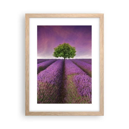 Pôster com moldura de carvalho claro - Nos campos de lavanda - 30x40 cm