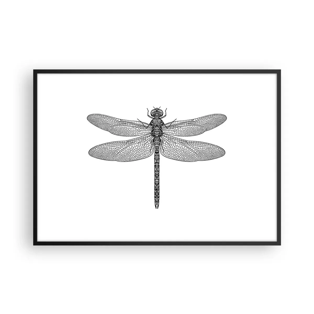 Pôster com moldura preta - Precisão da natureza - 100x70 cm