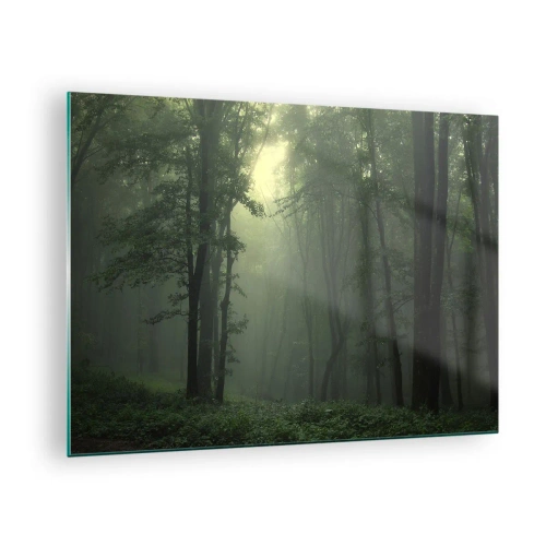 Quadro em vidro - Uma floresta escura envolta em neblina com raios de luz - 70x50cm - Antes de acordar - Decoração de parede moderna para a sala de estar e quarto ARTTOR