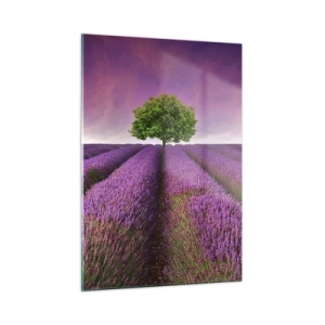 Quadro em vidro - Nos campos de lavanda - 50x70 cm