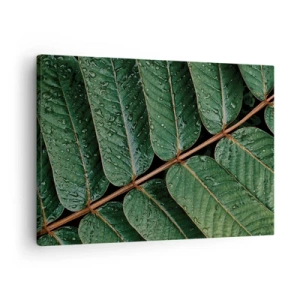 Quadro em tela - Foto macro de folhas verdes com gotas de orvalho - 70x50cm - Num ritmo verde - Decoração de parede moderna para a sala de estar e quarto ARTTOR