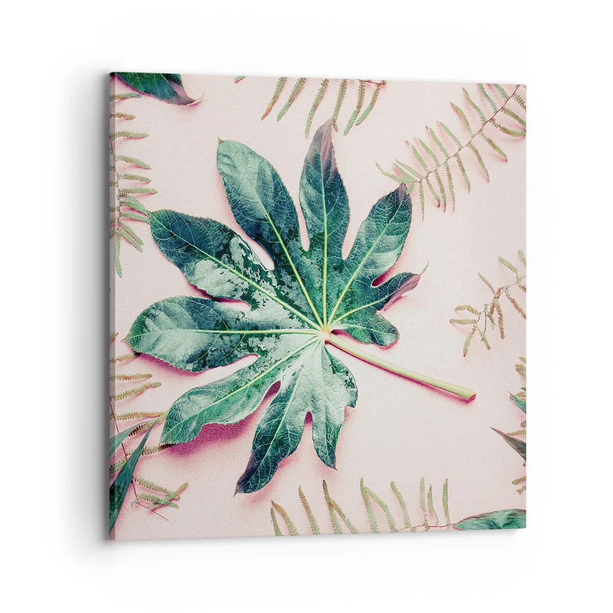 Quadro em tela - Estudo do verde em um fundo rosa - 70x70 cm