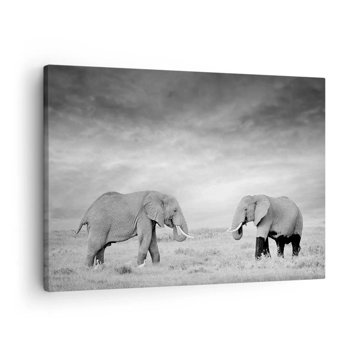Quadro em tela - Dois elefantes tendo como pano de fundo a savana africana - 70x50cm - O cinza é belo - Decoração de parede moderna para a sala de estar e quarto ARTTOR