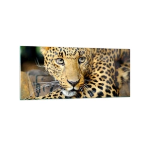 Quadro em vidro - Não tenha medo, venha - 120x50 cm