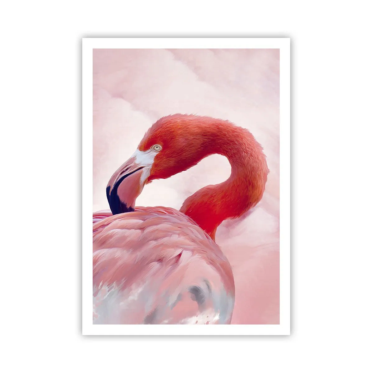 Pôster - Beleza das aves - 70x100 cm