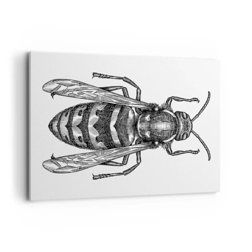 Quadro em tela - De um planeta de insetos - 100x70 cm