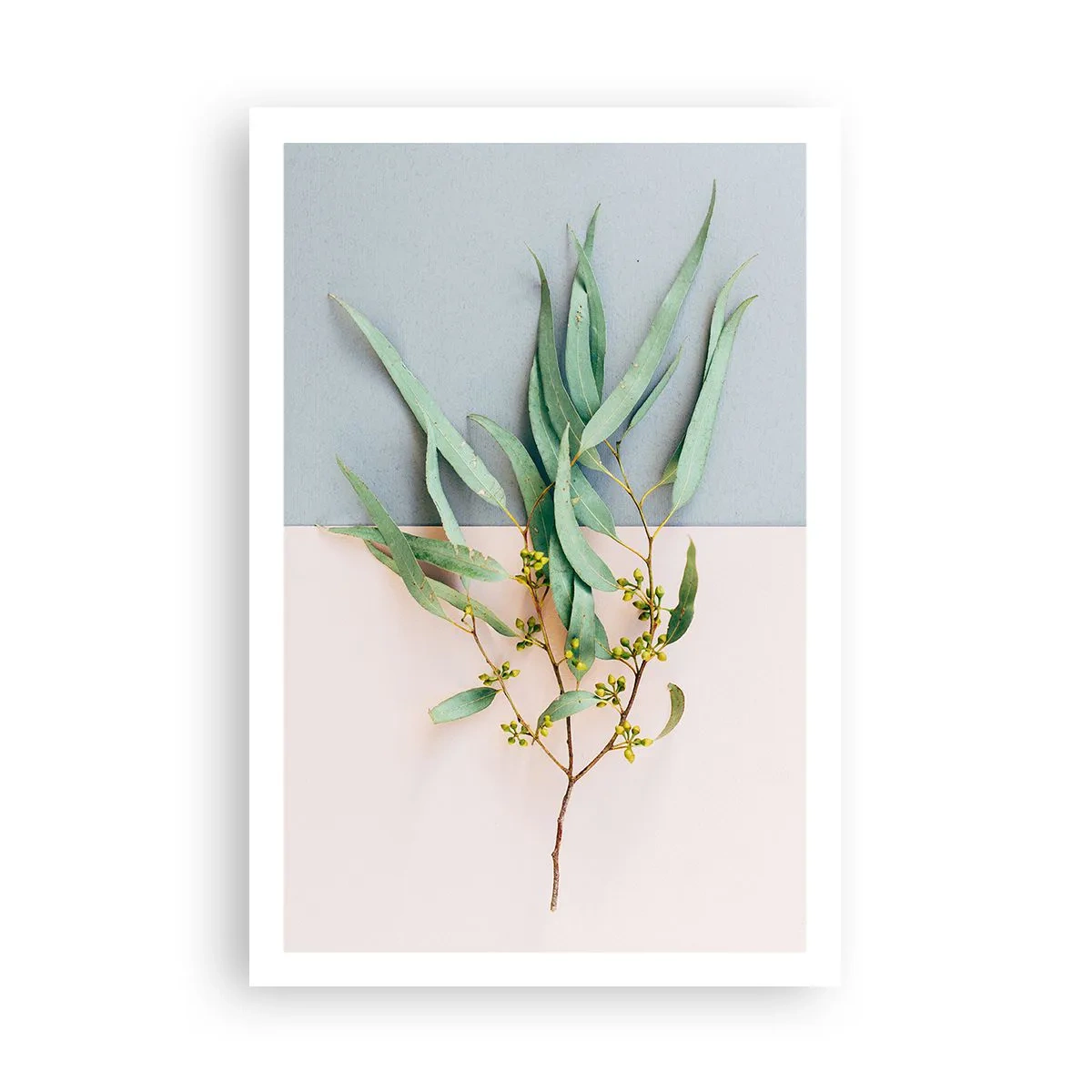 Pôster - Sutileza pastel - 61x91 cm