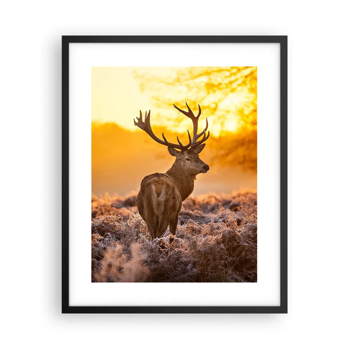 Pôster com moldura preta - Rei da floresta de outono - 40x50 cm