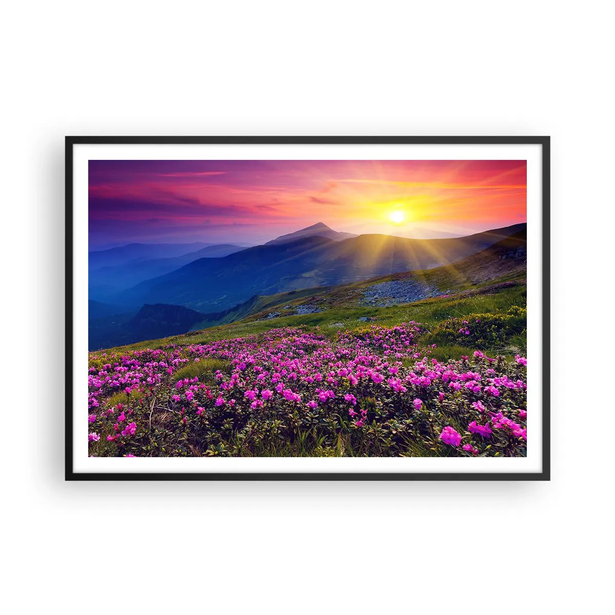 Pôster com moldura preta - …Cheiro de pinheiros e ervas da montanha - 100x70 cm