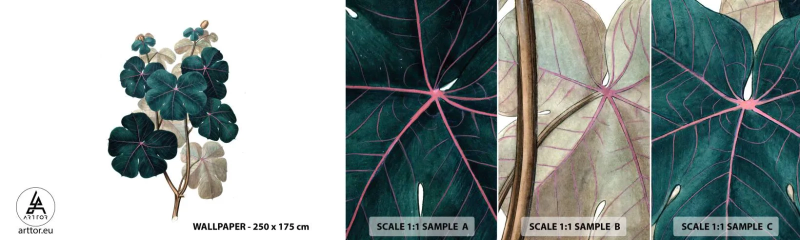 Amostra de Papel de Parede Standard Eco - Do antigo herbário - Plantar, Folhas, Botânica - 100x30 cm
