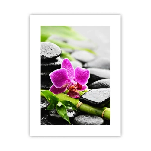 Pôster - Calmo equilíbrio - 30x40 cm