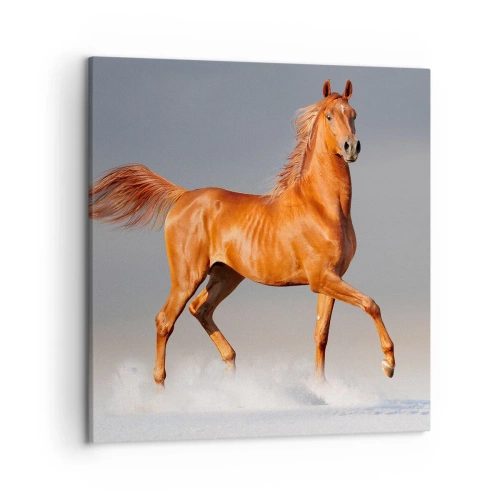 Quadro em tela - Graça Dançante - 50x50 cm