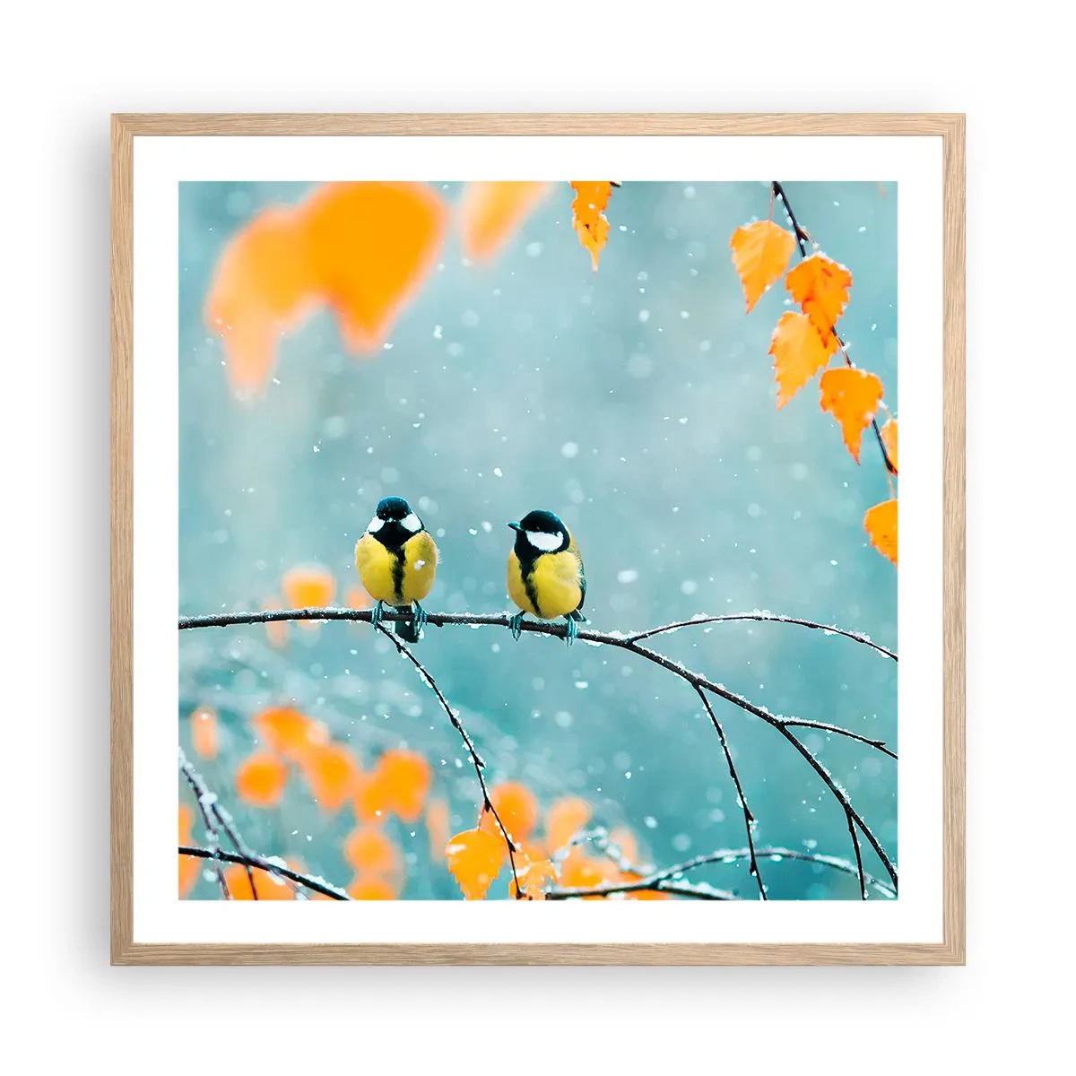 Pôster com moldura de carvalho claro - Fofoca de pássaros - 60x60 cm
